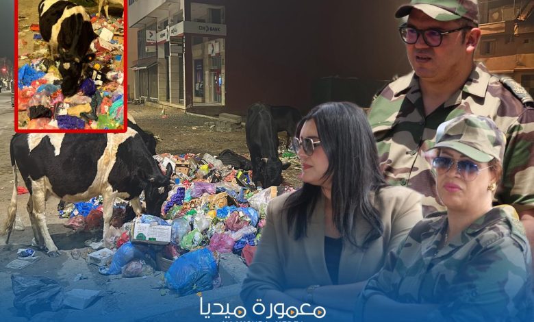 القنيطرة.. سلطات الساكنية تمهل الكسابة 5 أيام لإخراج الماشية من المدار الحضري